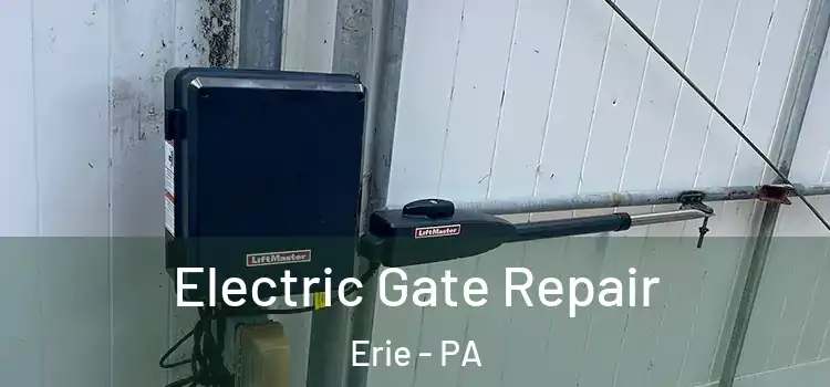 Electric Gate Repair Erie - PA
