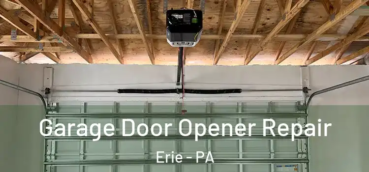  Garage Door Opener Repair Erie - PA