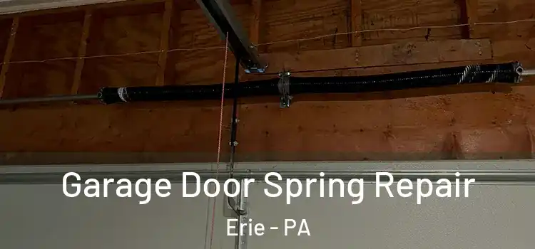  Garage Door Spring Repair Erie - PA