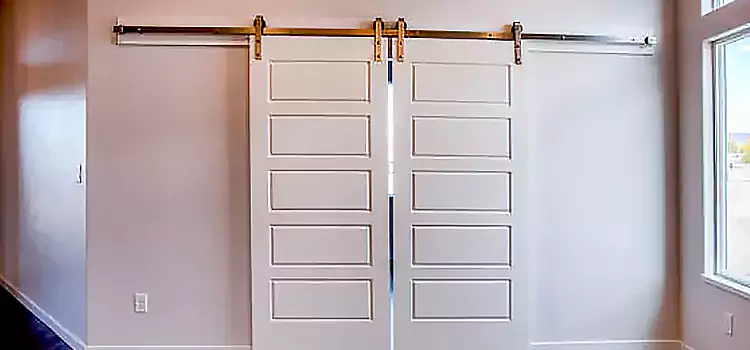 Glass Barn Door with Installation Hardware Kit Erie