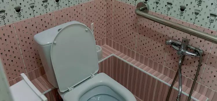 Meeting Diverse Needs With Accessible Restroom Solutions in Erie, PA
