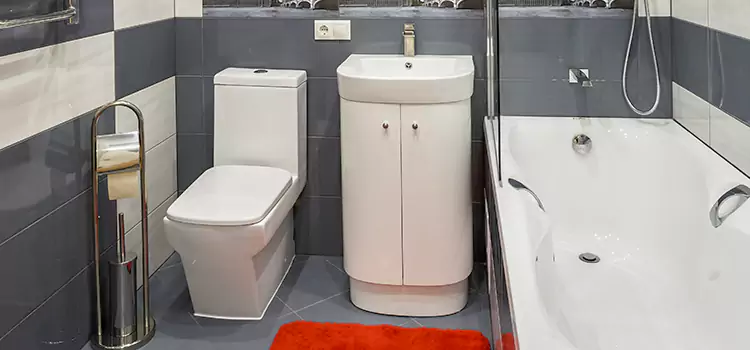 Hansgrohe Shaving Mirror Erie