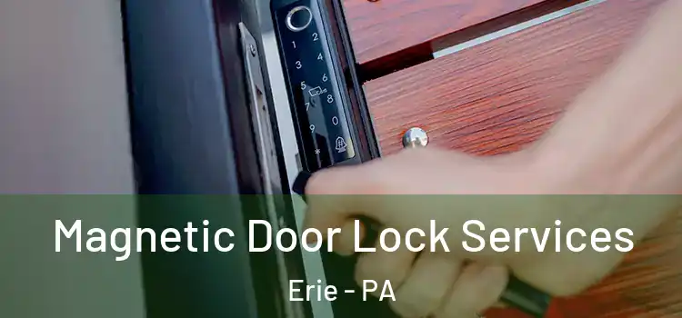 Magnetic Door Lock Services Erie - PA