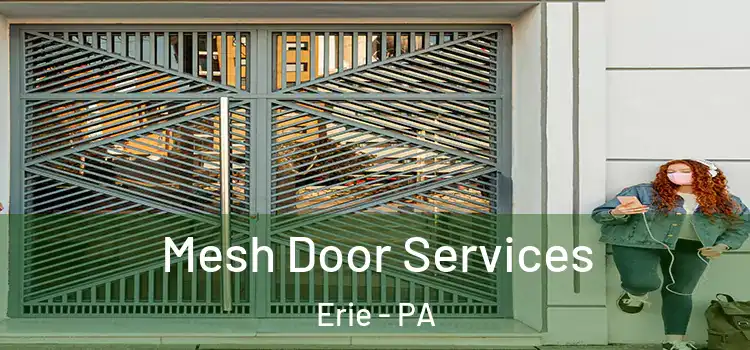  Mesh Door Services Erie - PA