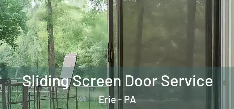 Sliding Screen Door Service Erie - PA